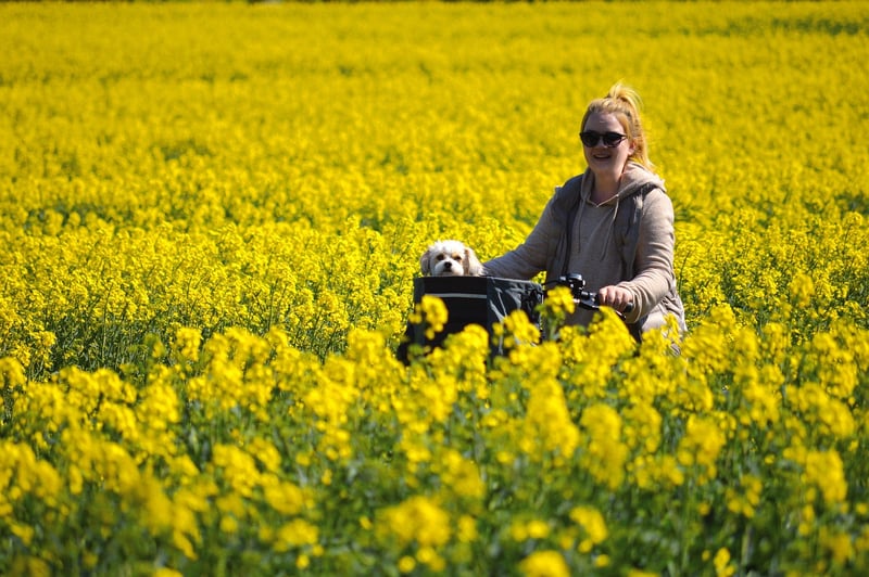 Technological Wonders Tour